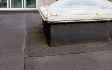 disadvantages of South Radworthy flat roofs
