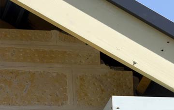 soffit repair South Radworthy